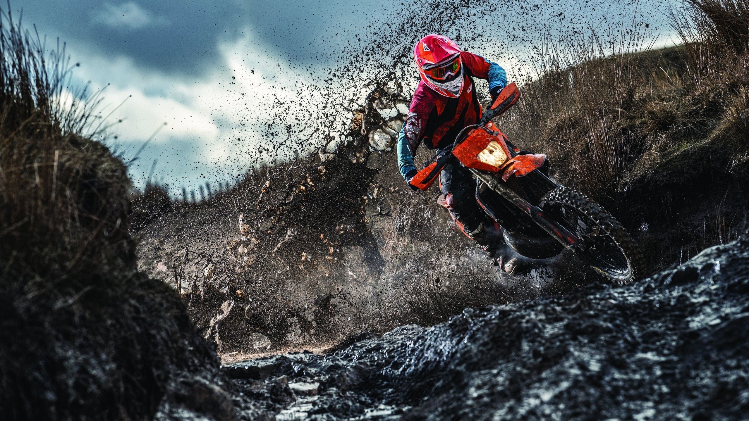 博塔弗戈在2024年解放者杯中夺冠，实现双冠王，博塔弗戈sp足球俱乐部